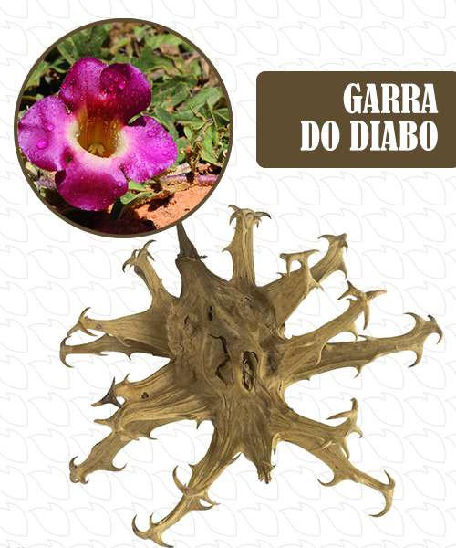 Miniatura do produto